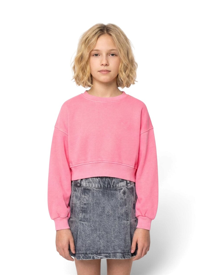 Fluoroze sweater met ronde hals Fenya Bellerose