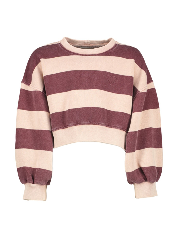 Paarse trui met roze strepen Fenya Bellerose