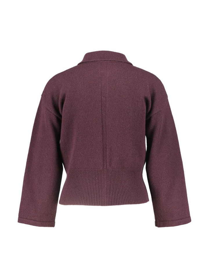 Aubergine trui met knoopsluiting Lesena Marella