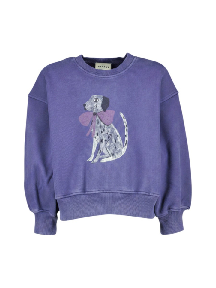 Blauwe sweater met tekening ZYCO BOWDOG Morley