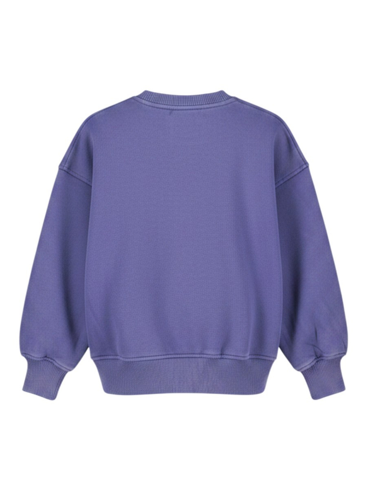 Blauwe sweater met tekening ZYCO BOWDOG Morley