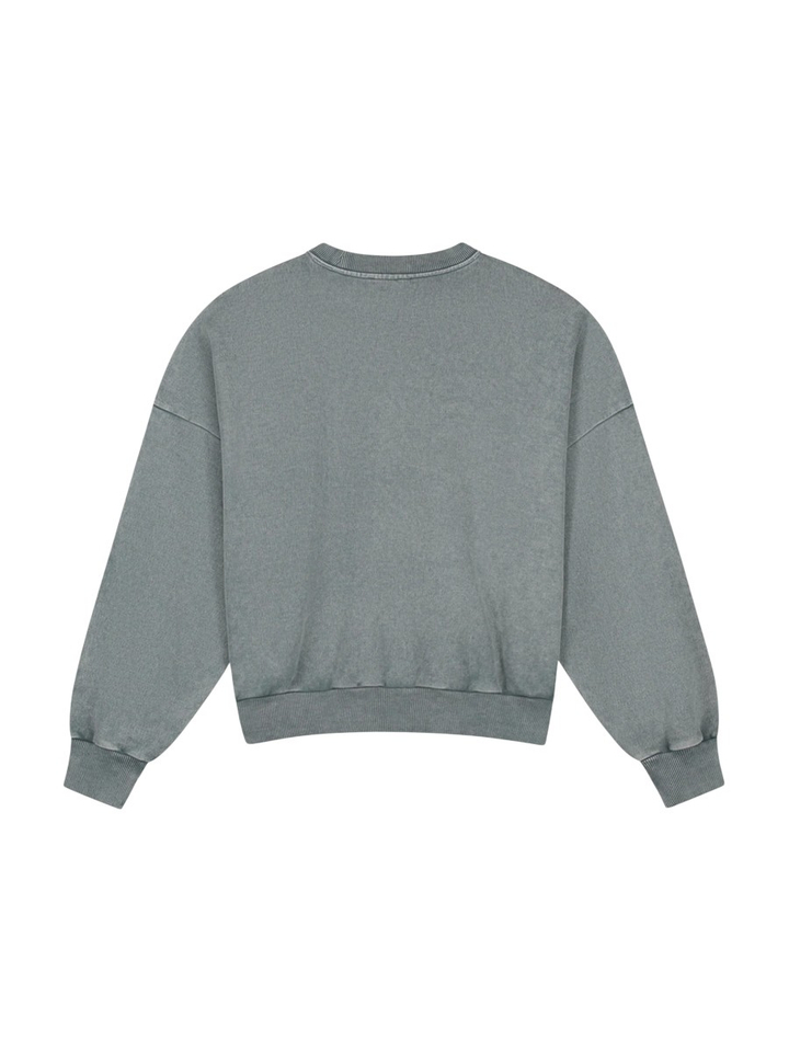 Grijze sweater met logo Basic Worn Out Stieglitz