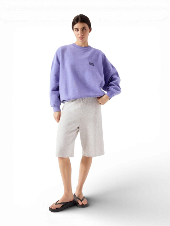 Paarse sweater American Vintage