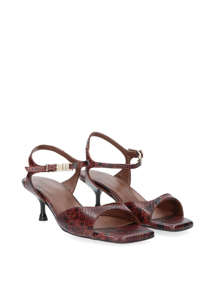 Rust python slingback Rebbec March 23