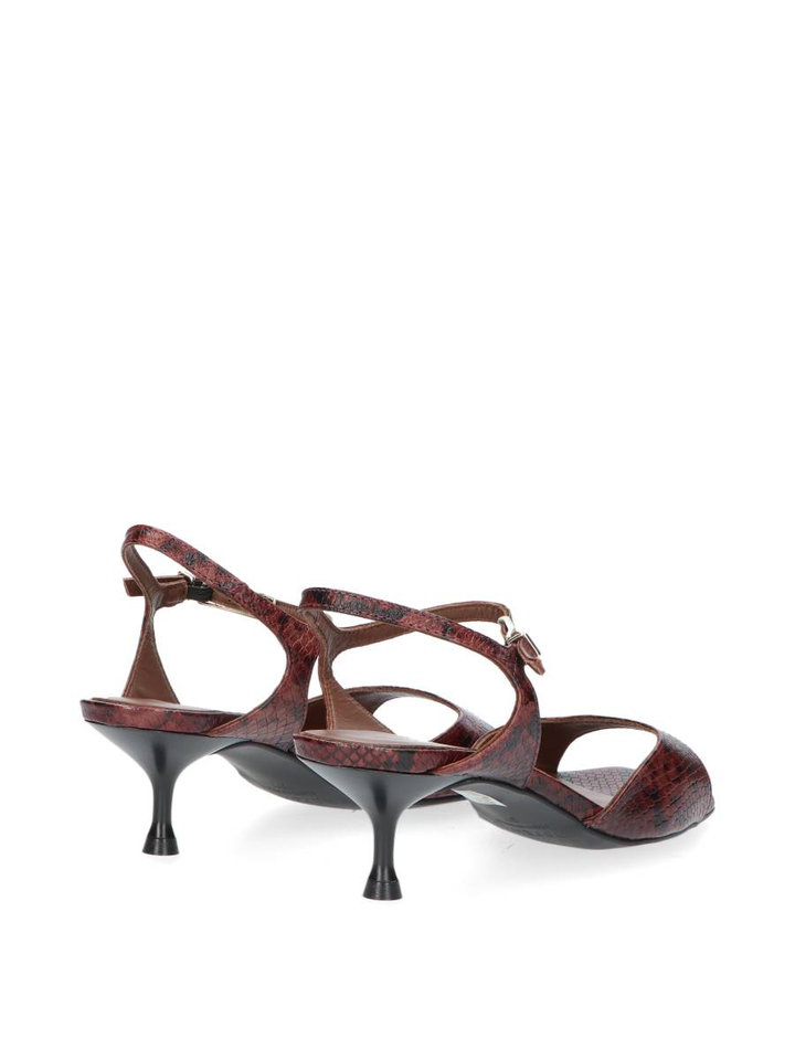 Rust python slingback Rebbec March 23