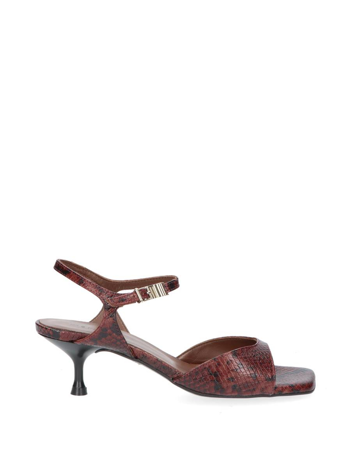 Rust python slingback Rebbec March 23
