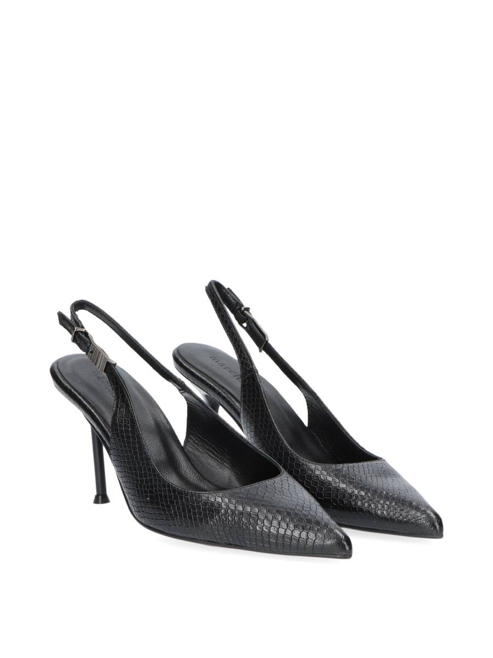 Black python Rose March 23
