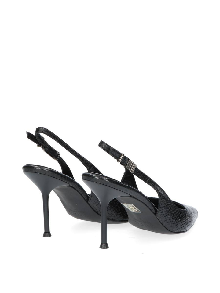 Black python Rose March 23