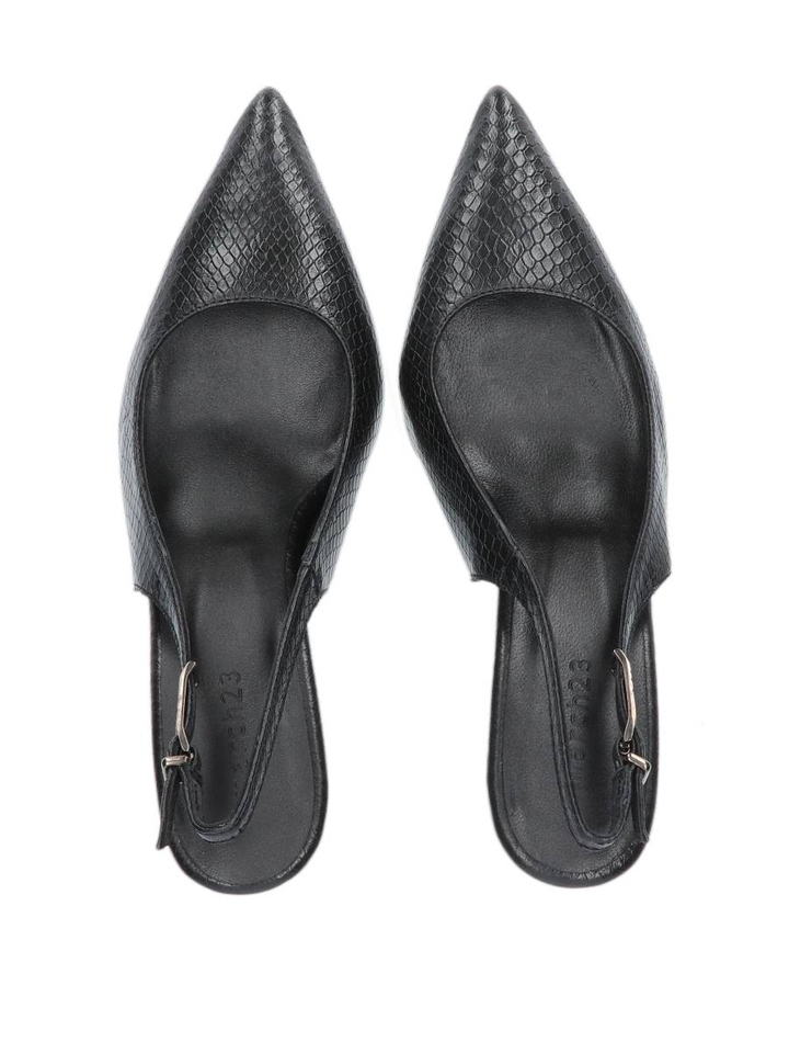 Black python Rose March 23