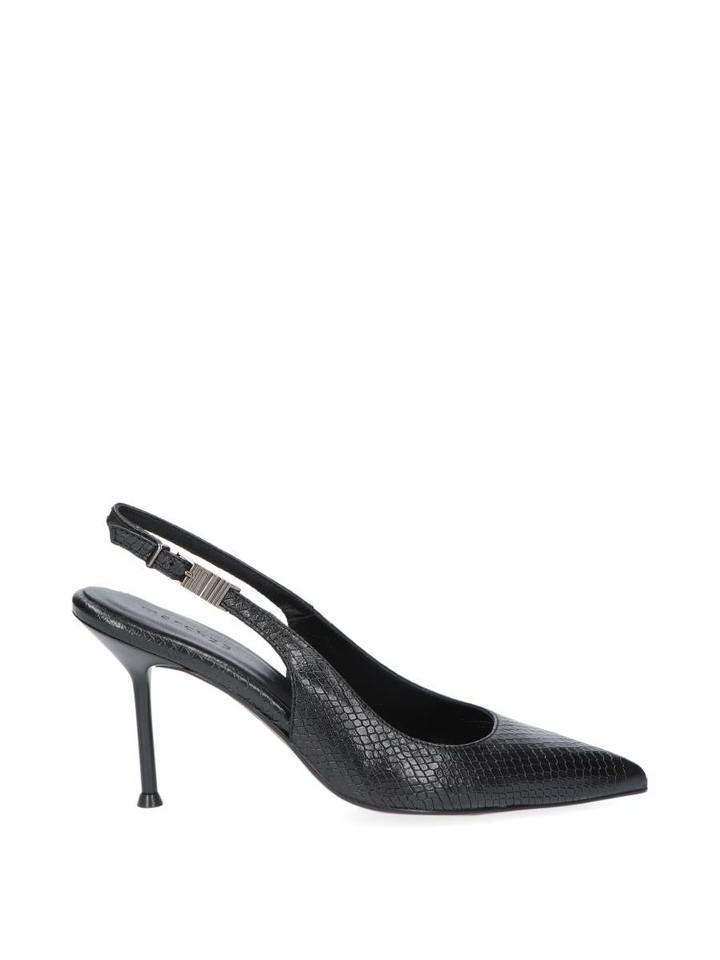Black python Rose March 23