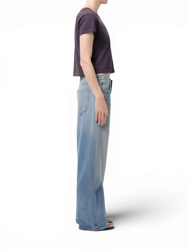 Blauwe llow rise curve jeans Agolde
