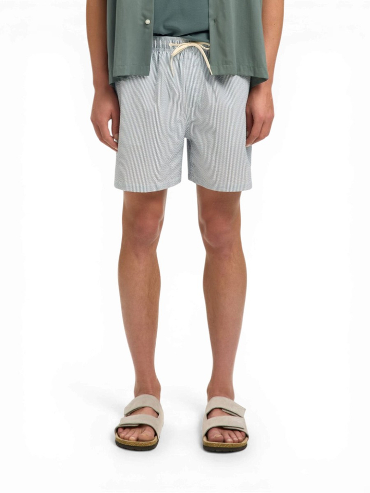 Grijze gestreepte zwemshort Selcted 