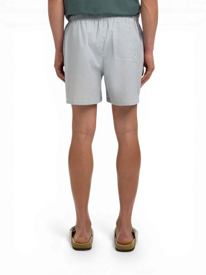 Grijze gestreepte zwemshort Selcted 