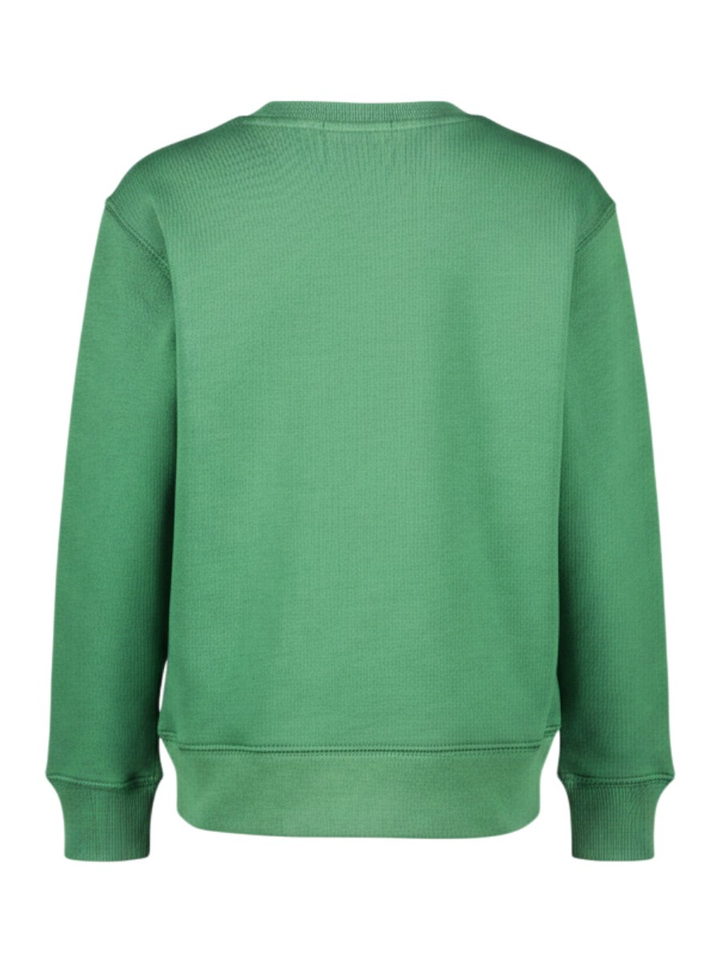 Groene sweater Ralph Lauren