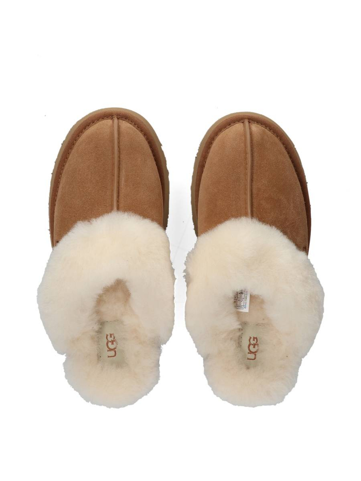 Chestnut Disquette Ugg
