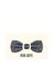 Blauwe vlinderdas met print J. Ploens