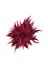 Bordeaux pin MBR68 Les Cordes 