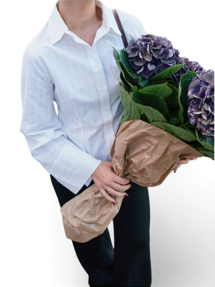 Wit bloes met krijtstreep Rosa Neo Noir 