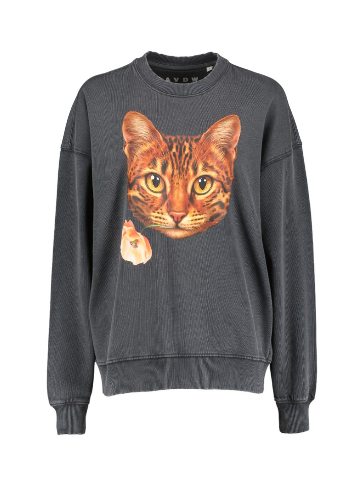 Grijze trui Catty AVDW