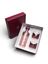 Bordeaux giftset met fles en glazen Swirl M Silt Paveau 