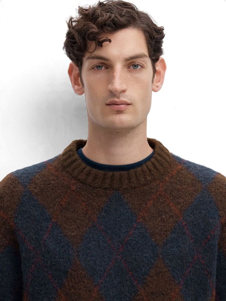 Bruin/donkerblauwe trui in ruitpatroon met diverse kleuren Selected 